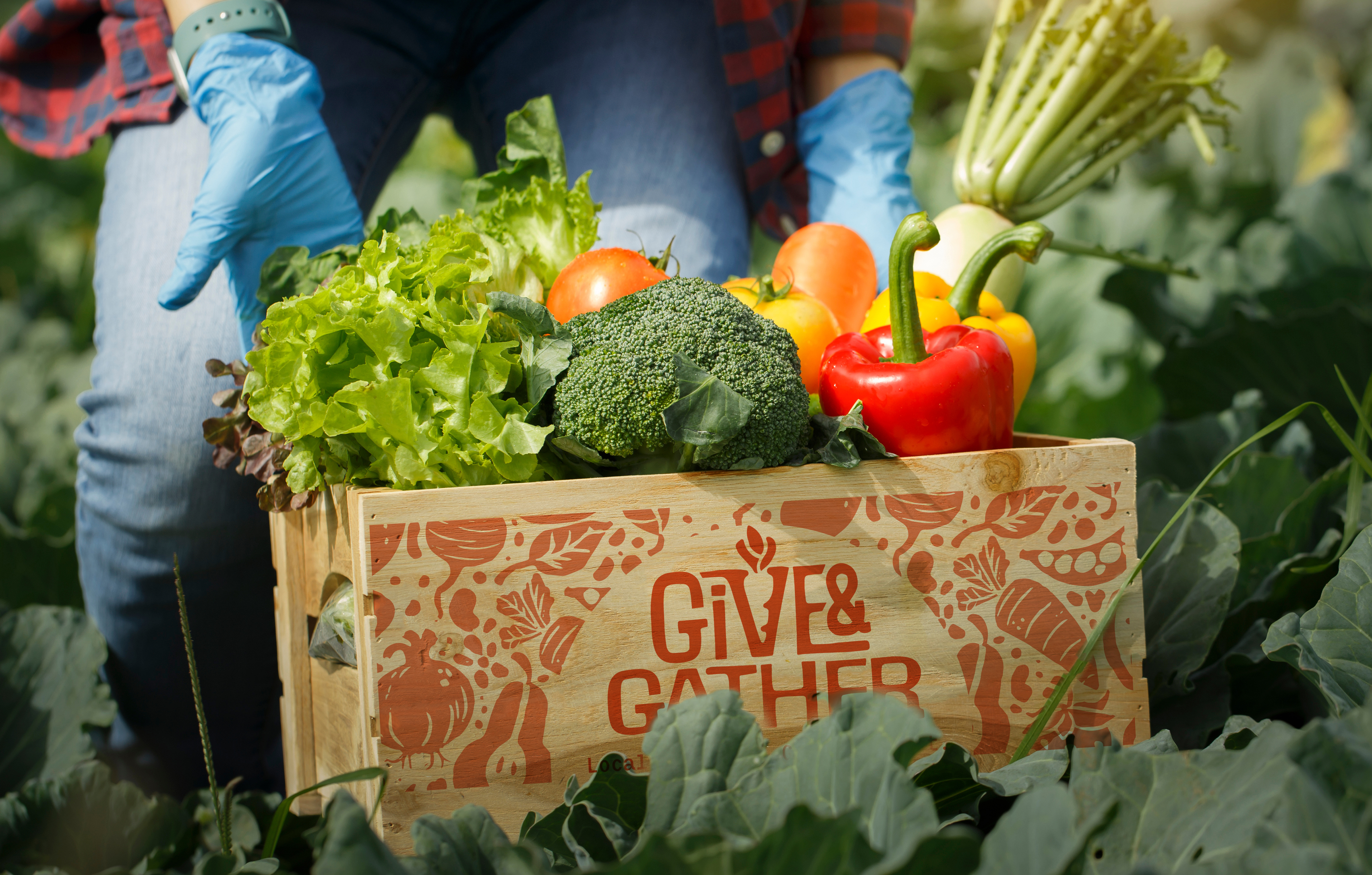 Farmer holding vegetable box